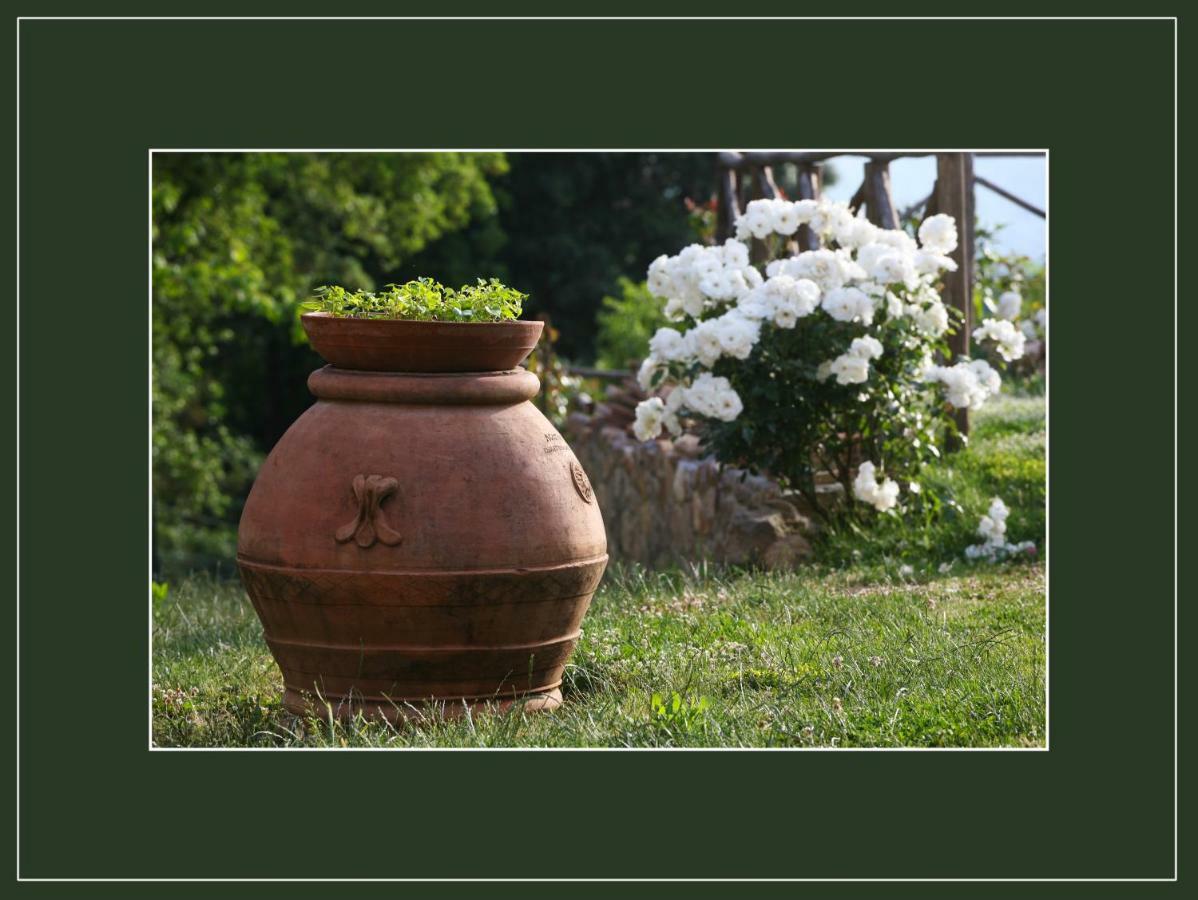 Podere Marroneto Lama  Esterno foto